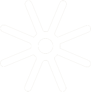 Star Anise Icon