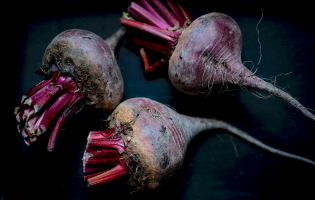 Three freshly harvested beets with deep purple-red bulbs and trimmed stems resting on a dark background.