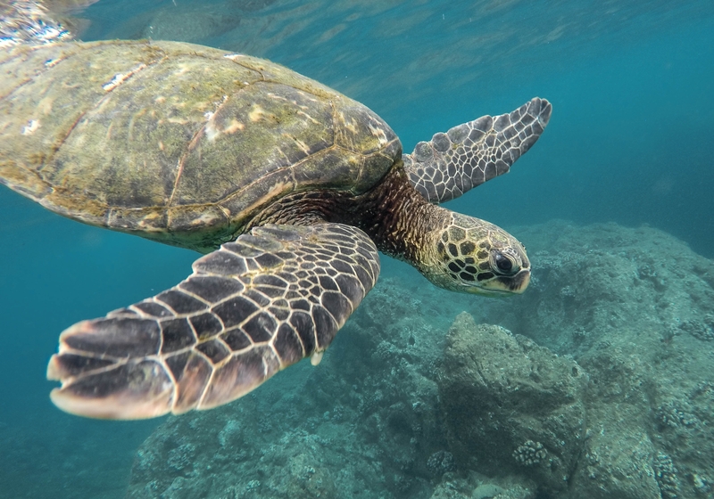 study abroad Belize